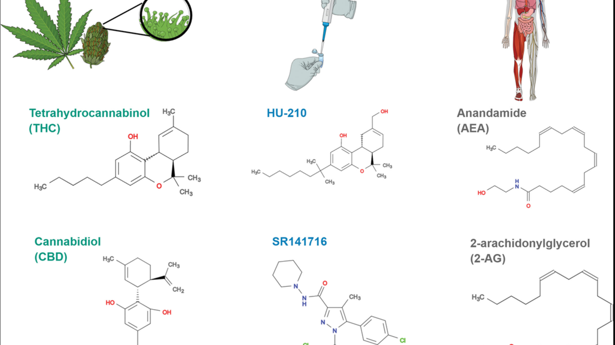 Buy Eutylone Online USA