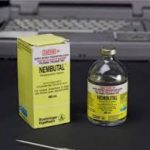 Nembutal Medical Uses Risks