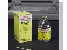 Nembutal Medical Uses Risks